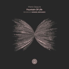 Mario Segura - Fountain Of Life (Servando Remix)