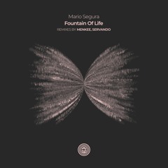 Mario Segura - Fountain Of Life (Original Mix)