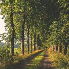 [너의 형통인가? 누구의 형통인가?]수1:1-9