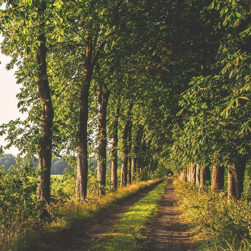 [너의 형통인가? 누구의 형통인가?]수1:1-9