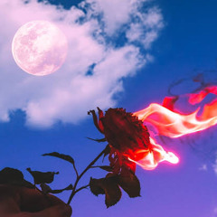 Maana Ke Hum Yaar Nahi Slowed