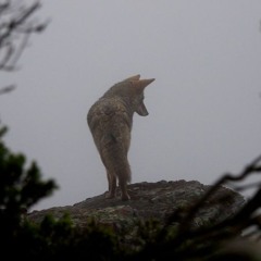 just when i thought i was free im held back by my own thoughts and urges