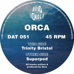 Orca - Superpod [DAT051] clip