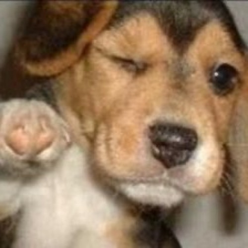 01 2k25 - Muckefukk Techno Session  Part 2 - 142 Bpm - INoises Mix