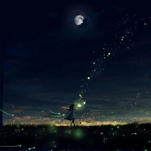 Đêm, Đom Đóm Và Em / 夜, 萤火虫和你