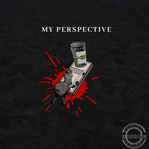 My perspective