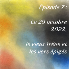 Episode 7 : Le 29 octobre 2022, le vieux frêne et les vers épigés