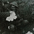 Artwork for Untitled #9 (Smáskífa 1) - Sigur Rós [slowed + reverbed + war sounds]
