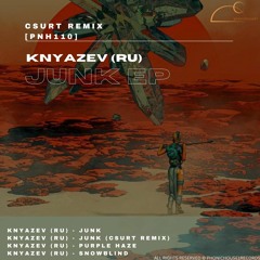 Knyazev (RU) - Junk (Csurt Remix) [PREMIERE] [PNH110]