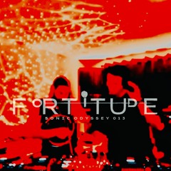Sonic Odyssey 013 [Hubryis vs Foresyte]