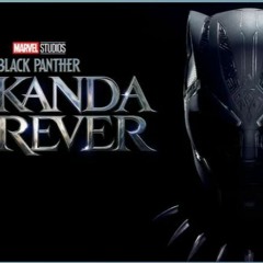 *𝐕𝐄𝐑~!Black Panther Wakanda Forever 2022 Pelicula Completa