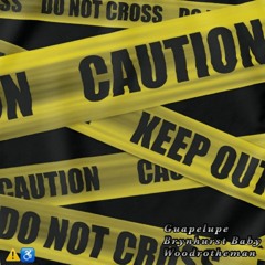 Guapelupe x Brynhurst Baby x Woodrotheman- Caution