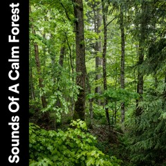 Nature Ambient Sounds for Relaxation, Pt. 10