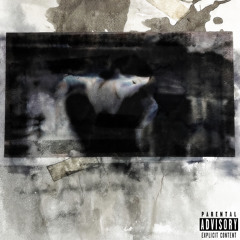 If you see me (FUCK SHIT)