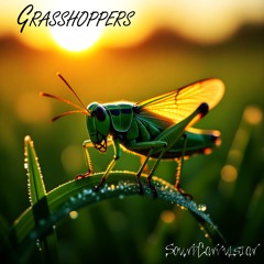 Grasshoppers