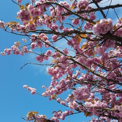 I want to know your mind (너의 마음이 궁금해)