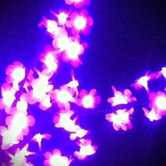 Frank Zero-Sweet Harmony