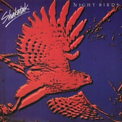 Shakatak - Night Birds Remix (Axelsoft's Funky Night Version)