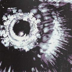 SPINOSAURUS - AL QUE NO LE GUSTE, QUE CHINGUE (ALKHIMIST REMIX)