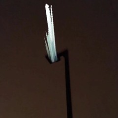 ₚᵢccᵤₚ