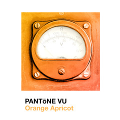 Orange Apricot