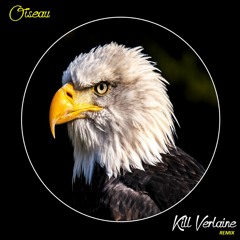Laurent Bardainne & Tigre d'Eau Douce feat. Bertrand Belin - Oiseau (Kill Verlaine Remix)