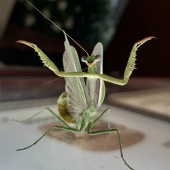 JUD¤ X 4ESTFLXR-£¥£ ₩¡+|\|€$$