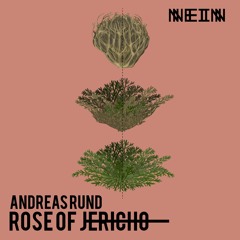 Andreas Rund - Rose Of Jericho