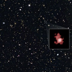 SPACE LOOP