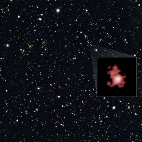 SPACE LOOP