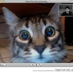 im starting to notice