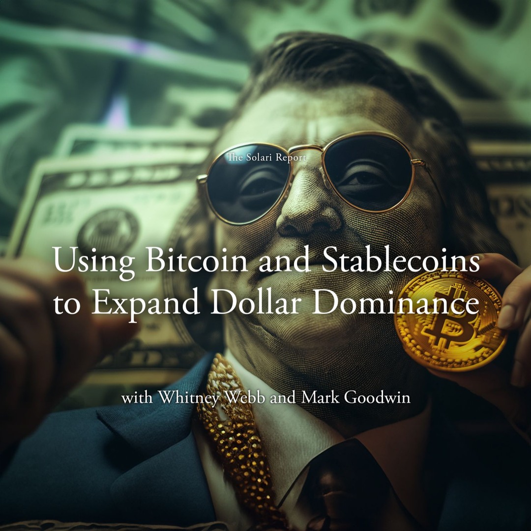 Stream episode Using Bitcoin and Stablecoins to Expand Dollar Dominance  with Whitney Webb and Mark Goodwin by Unlimited Hangout with Whitney Webb  podcast | Listen online for free on SoundCloud