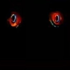 horror. +prx +two +amo