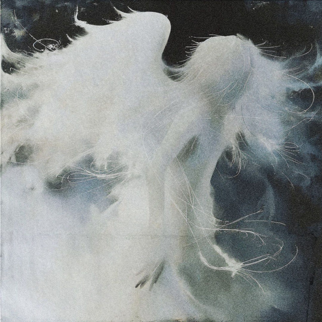 Dolk – Angels (Mono) – Gategalleriet