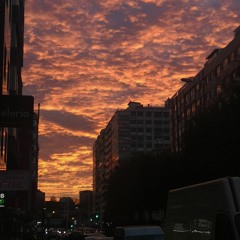 Joy Comes In The Morning