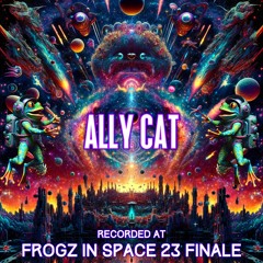 Allycat - Recorded at TRiBE of FRoG Frogz in Space Finale - November 2023