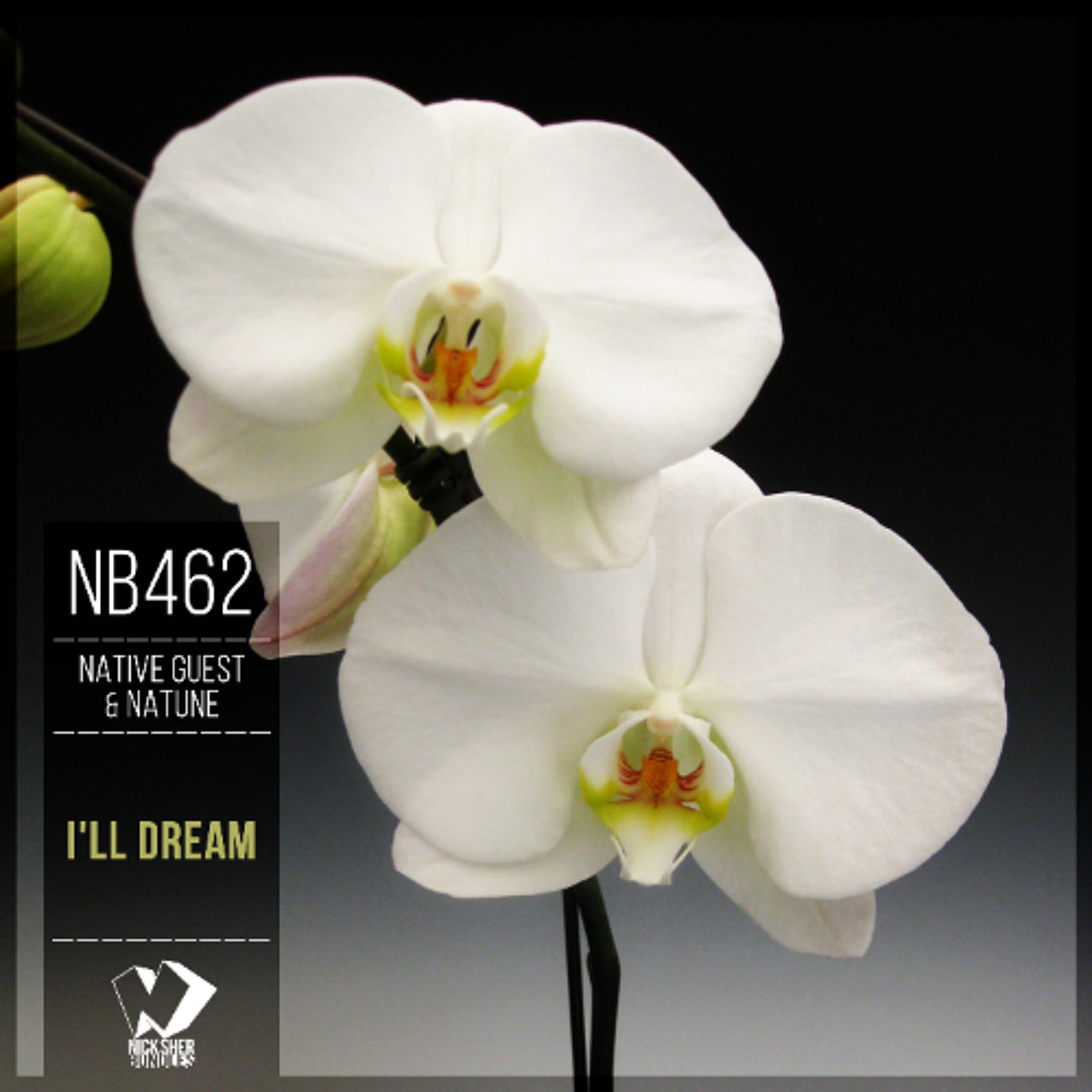Native Guest & Natune - I'll Dream (Original Mix) episode artwork