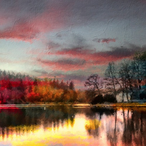 Dima: Especially for "Camera Obscura"