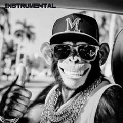 YAYARAI INSTRUMENTAL