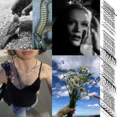 Chaotic Neutral Summer 25 Mixtape