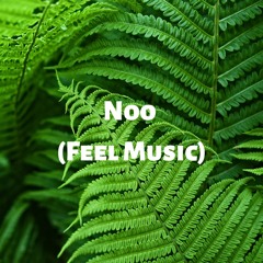 Noo (Feel Music)