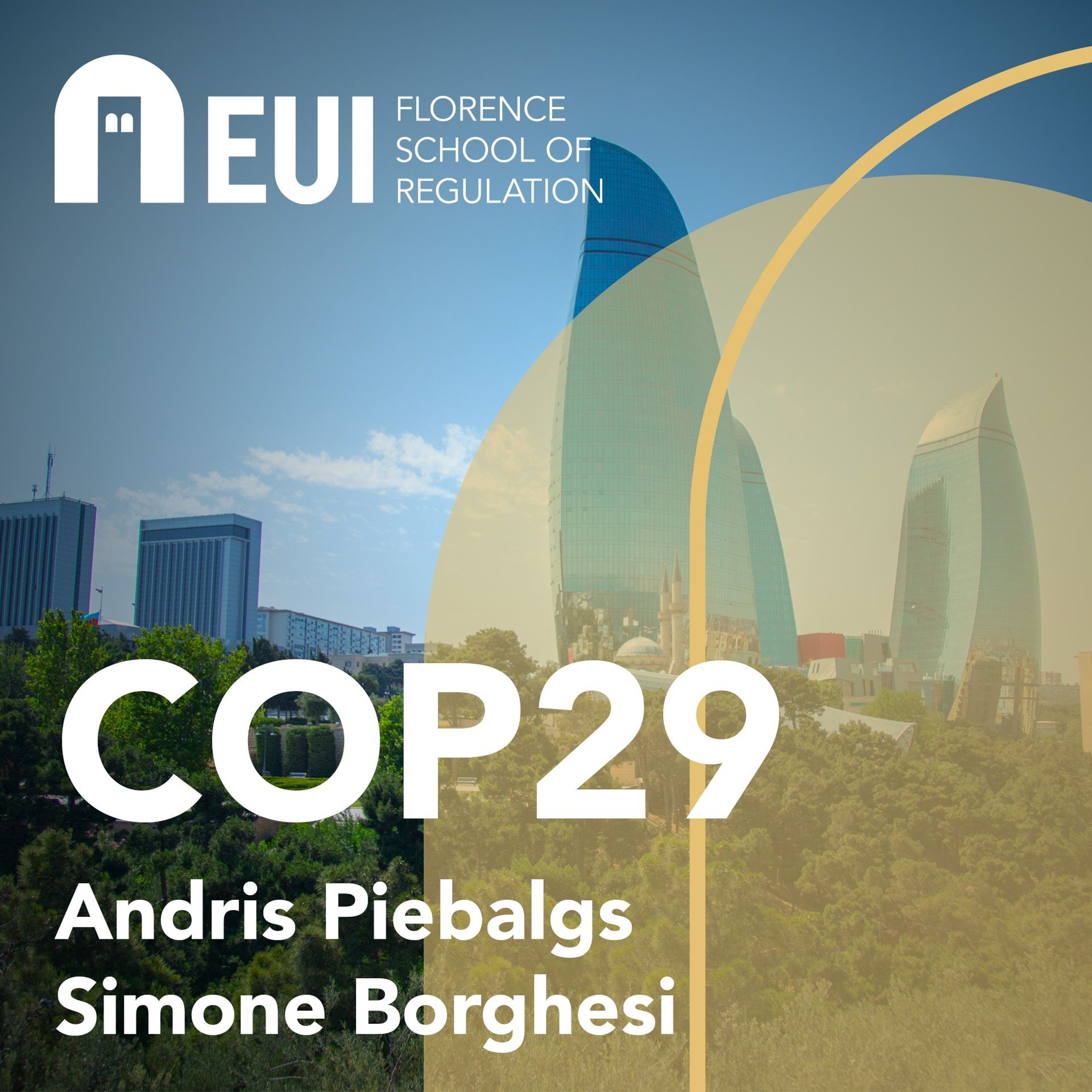 Solidarity for a green world – just a slogan or is there more? #COP29