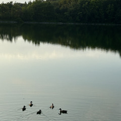 Vampire Empire (Big Thief)