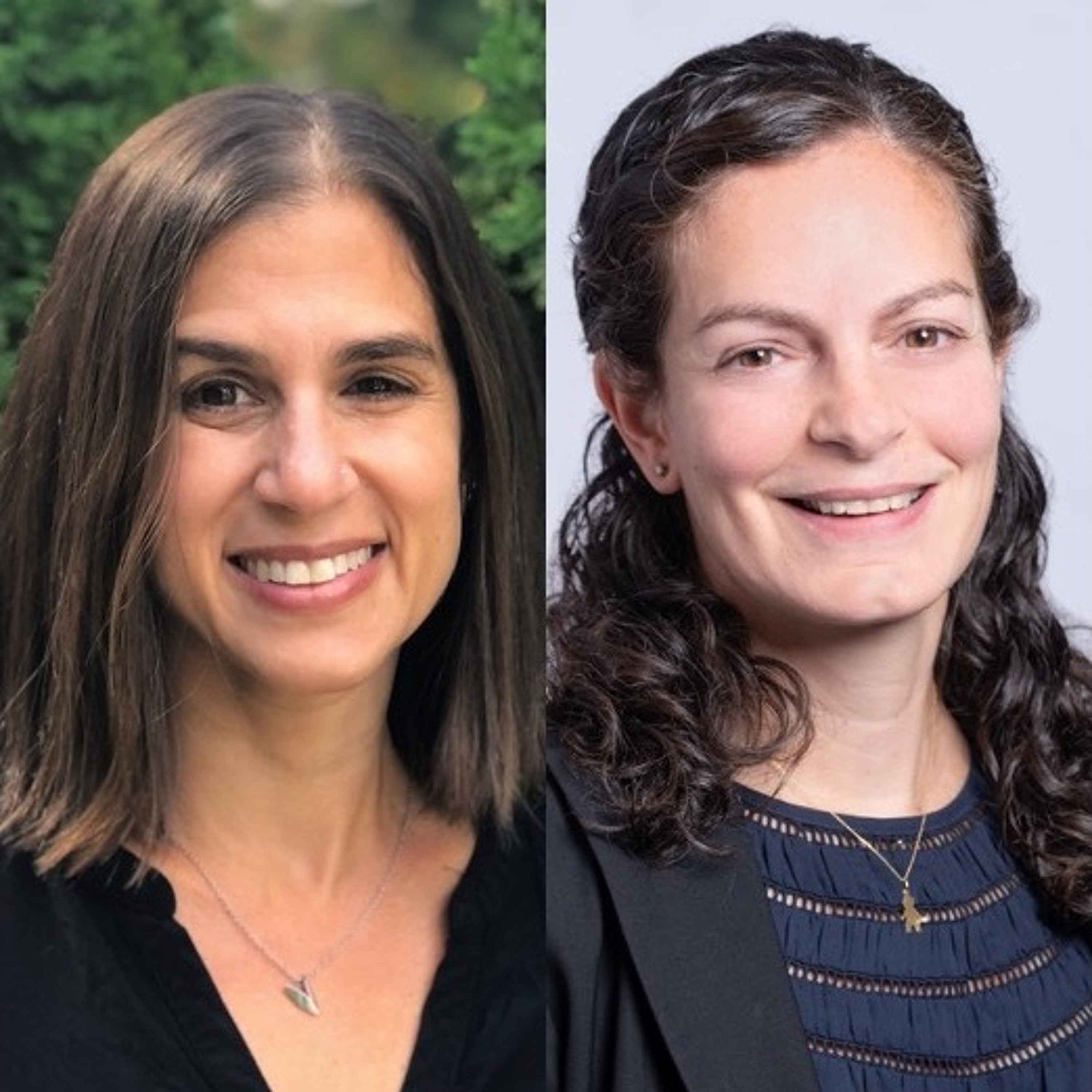 FreshEd #308 – White Ignorance in Global Education (Francine Menashy & Zeena Zakharia) episode artwork