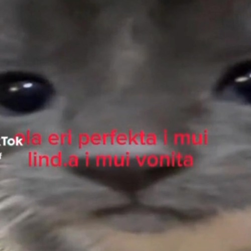 Stream te deberias llamar bonita porque eres muy bonita by øĆ€ŁØŦŁ