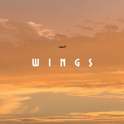 Wings - Jonas Brothers (sped up + pitched down)