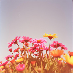 Šepkajúci vietor Vol 2