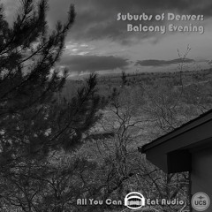 Suburbs Of Denver_Balcony Evening_PREVIEW