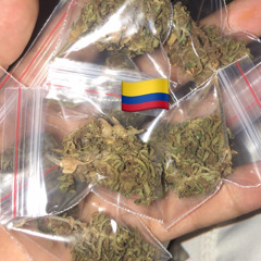 COLOMBIA FREESTYLE 🇨🇴🇨🇴 (Prod.1plugmontana)