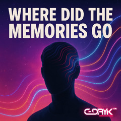 Where Did the Memories Go